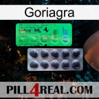 Goriagra new04